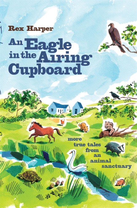 An Eagle in the Airing Cupboard