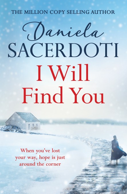 I Will Find You (Seal Island 2)