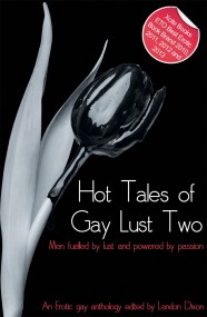 Hot Tales of Gay Lust Two