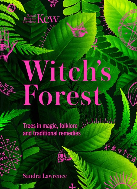 Witch’s Forest