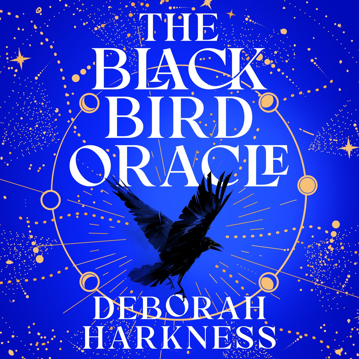 【最後の1点】Tara Books “Black Bird Tree” hbg-title-the-black-bird-