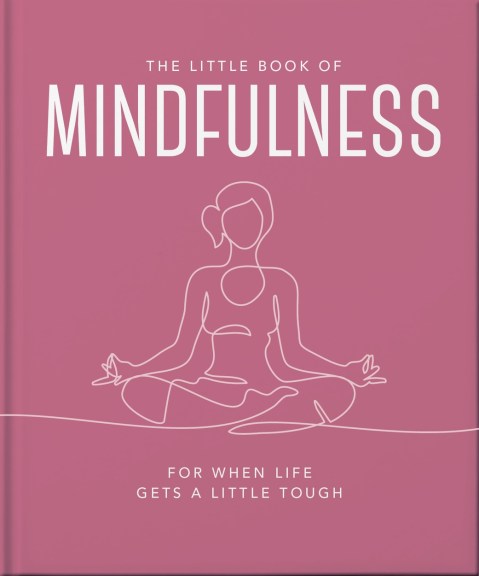 The Little Book of Mindfulness