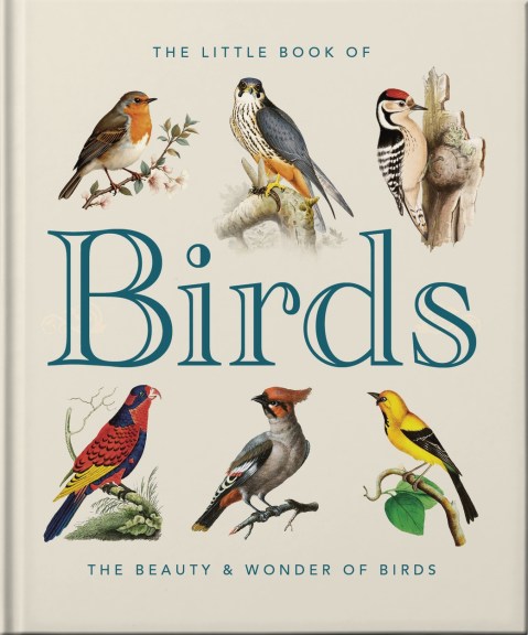 The Little Book of Birds